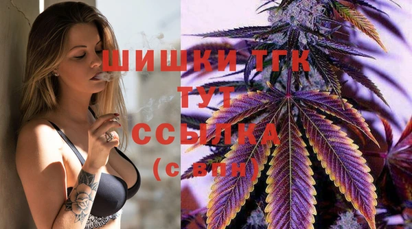 дживик Краснослободск