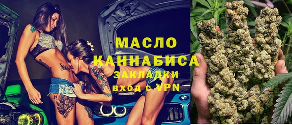 дживик Краснослободск