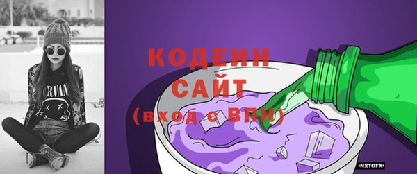дживик Краснослободск