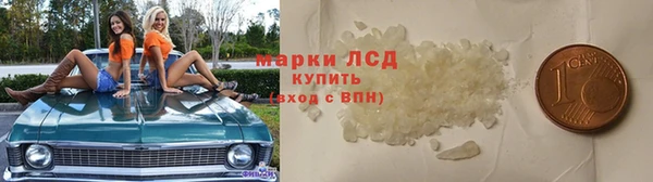 дживик Краснослободск