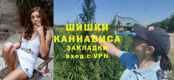 дживик Краснослободск