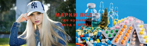 дживик Краснослободск