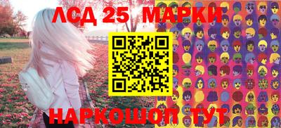 прущие грибы Апшеронск