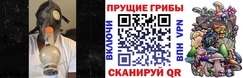 Галлюциногенные грибы прущие грибы  Белебей 