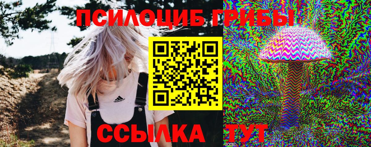 Псилоцибиновые грибы Cubensis Белебей