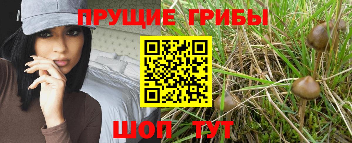 Псилоцибиновые грибы Magic Shrooms  Белебей 